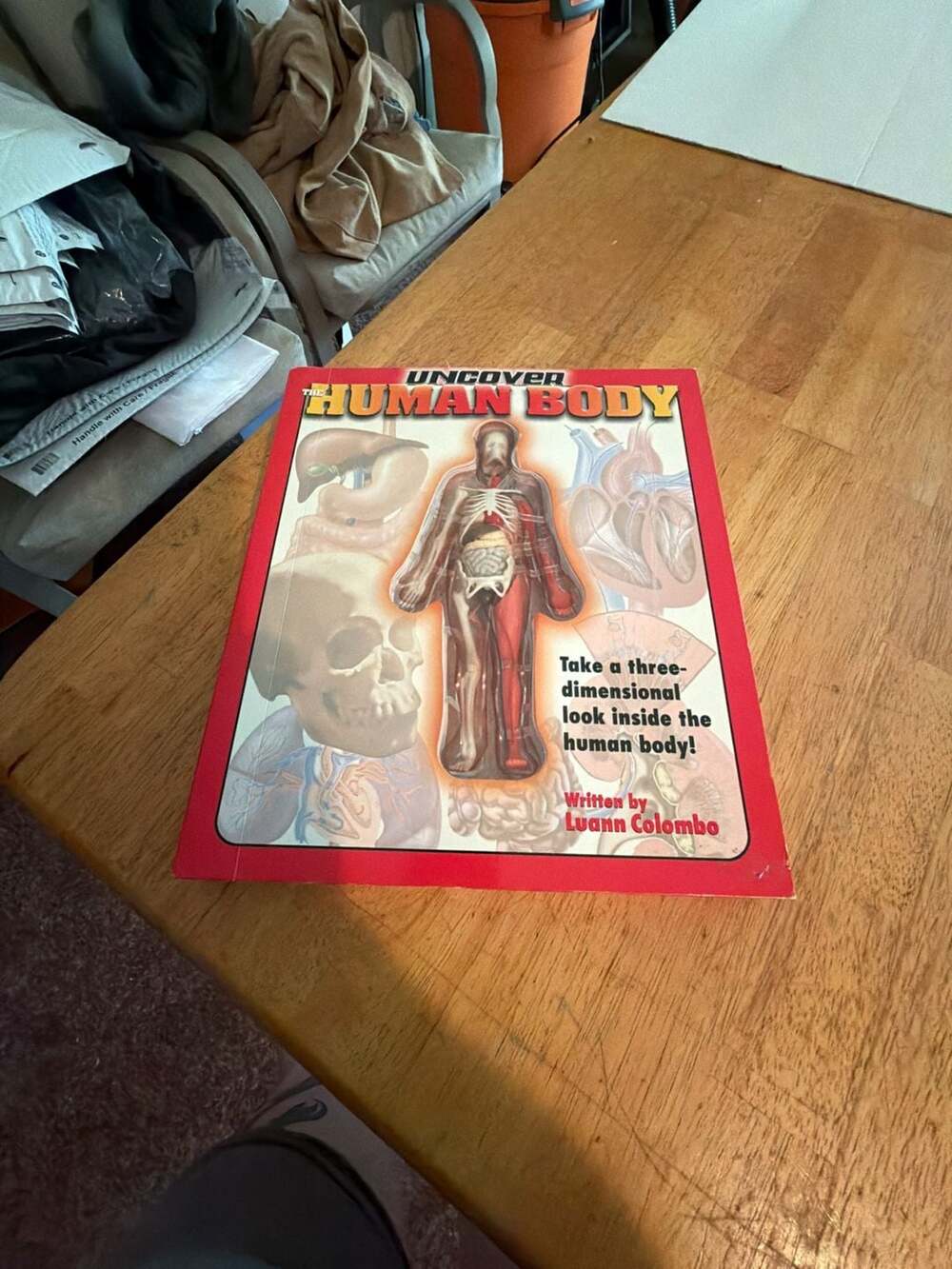 Uncover the Human Body 3D Anatomy Model Interactive Book by Luann Colombo